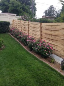 Grand Island residential fence company fencing contractors Nebraska cedar western red cedar treated pine white red yellow CCA  ACQ2 incense fir 2x4 1x6 2" x 4"  1" x 6"  nails stain solid privacy picket scalloped board on board shadow box pickets rails posts installation panels post caps modern horizontal backyard front yard ranch gate garden diy split rail house lattice old rustic vertical metal post picket dog ear contemporary custom